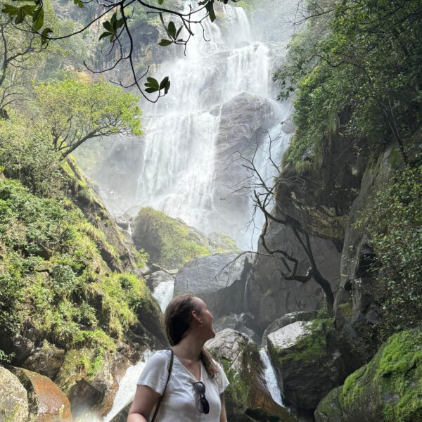 4 Days Enjoy Udzungwa and Mikumi NP safari image 1