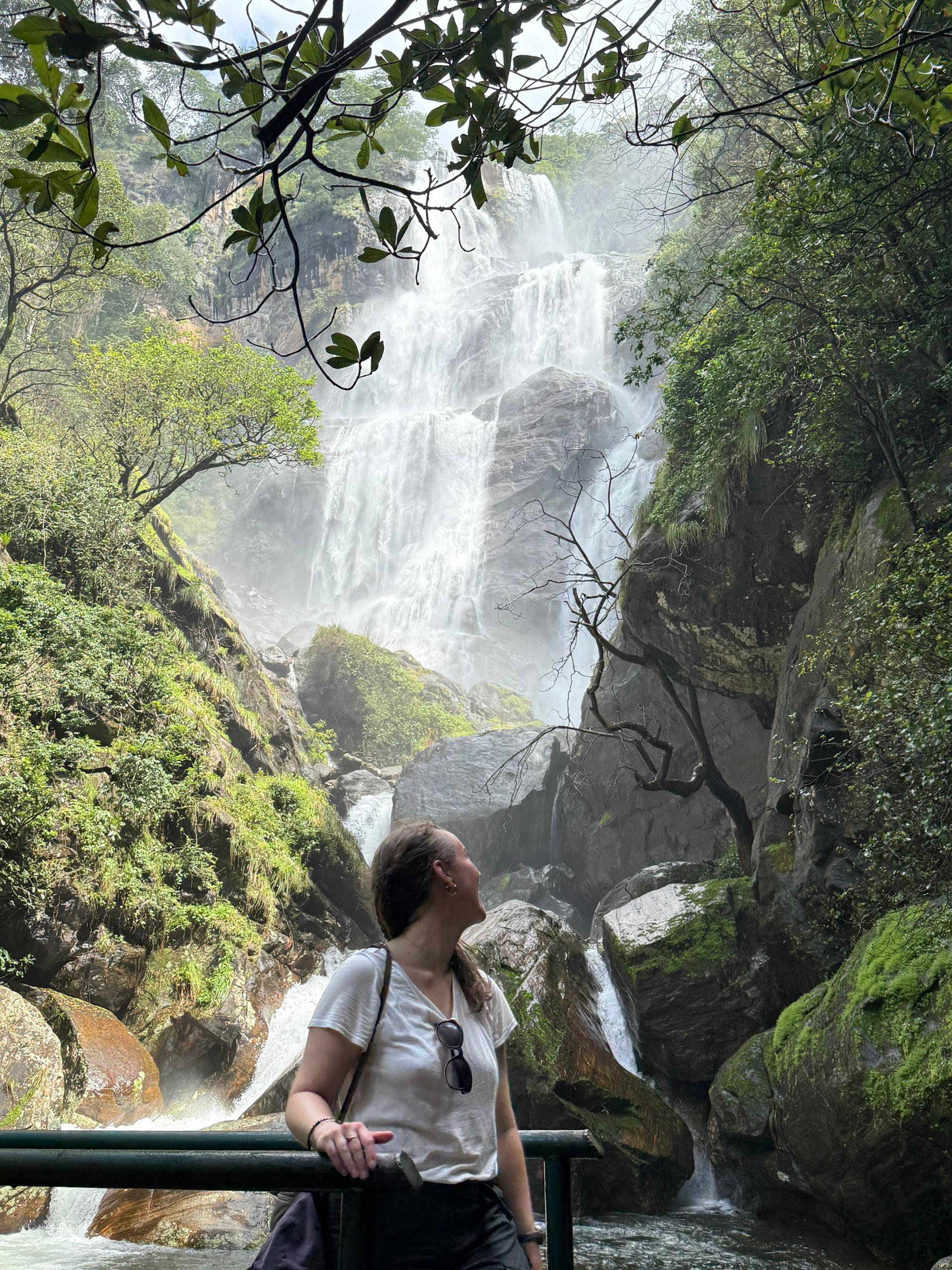 7-Day Safari to Mikumi, Udzungwa Mountains and Ruaha National Parks safari image 1